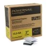 1/2 in. Crown x 2 in. Leg x 15.5-Gauge Steel Flooring Staple (5,000 Staples per Case) by POWERNAIL
